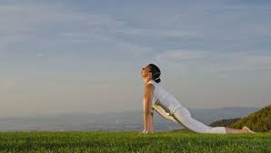 Surya Namaskar Instructions Step By Step Guide To 12 Poses In 2020 Surya Namaskar Yoga Steps Easy Yoga Workouts