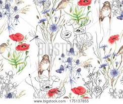 Seamless floral pattern with watercolor drawing herbs and flowers, artistic painting floral background. Hand Drawn Watercolor Image Photo Free Trial Bigstock