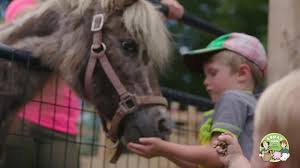 Schau dir angebote von ‪the petting zoo‬ auf ebay an. Barnyard Petting Zoo Abma S Farm