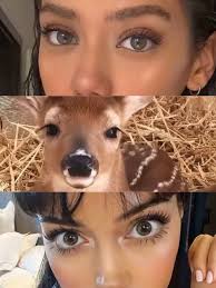 Deer Eyes