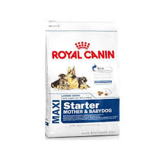Royal Canin Maxi Starter 1 Kg Dog Food Online At Best Price In India Yorkiepuppypriceinindia Royal Canin Dog Food Dog Food Online Dog Food Recipes
