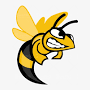 Angry Apiaries from www.angrybees.xyz