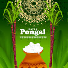 Ap, ar, py & tn. Pongal Festival Date 2021 Thai Mattu Pongal Celebration