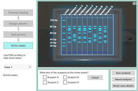 Use the dna sequences to identify possible identical twins and to determine which sections of dna code for skin color, eye color, and the presence or absence of spots. Dna Profiling Gizmo Lesson Info Explorelearning