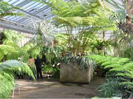 Zum botanischen garten gehört auch mitteleuropas einziges rein botanisches museum. Gruson Gewachshauser