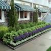 A perfect pairing for the modern country garden. 3