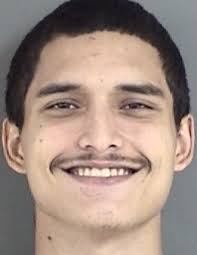 POLICE REPORTS: Beasts of burden: Cattle cause damage to property, carport 