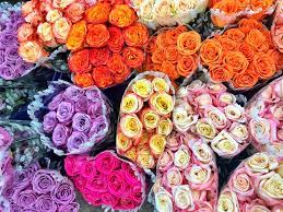 We did not find results for: Visiting The Los Angeles Flower Market Life In Wanderlust