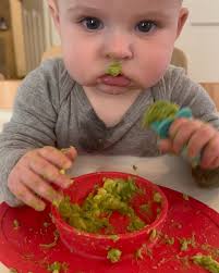 And this young man’s 1st avocado…, #lovegrandkids #littleman #7monthsold