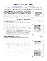 cio resume writing service; cio resume
