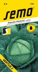 Image result for hlávková kapusta