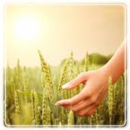 Marriage Counseling Silver Spring Md Restoration And Healing For Your Relationship