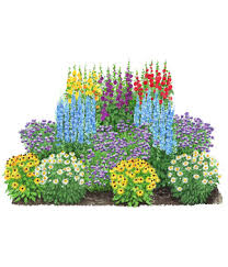 Der januar ist für ihren garten und ihre pflanzen ein ruhiger monat mit wenigen gartenarbeiten. Prachtvolle Pflanzen Online Bestellen Dehner