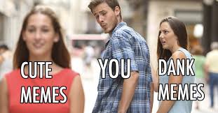 Best memes compilation and family friendly tik tok memes. Wholesome Memes Explained Vox
