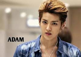 The New Van Java (Terbit Cetak)