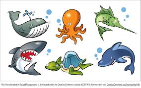 This is a step by step follow along drawing lesson. Cartoon Sea Animals Vector