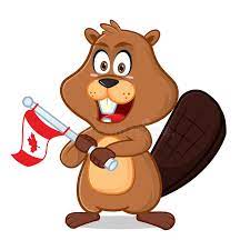 ✓ free for commercial use ✓ high quality images. Beaver Holding Canada Flag Stock Vector Illustration Of Vector 139375256