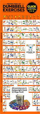 Periodic Table Of Dumbbell Exercises Stack 52 In 2020 Dumbbell Workout Dumbbell Back Workout Best Dumbbell Exercises