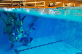 The objective is the same: A Younger Version Of Water Polo Which You Wont Be Able To See From The Surface Album On Imgur
