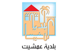 رئيس بلدية عمشيت بحال استمر تزايد عدد المصابين سيتم عزل البلدة موقع قناة المنار لبنان