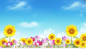 We did not find results for: Summer Fun Backgrounds Group 51