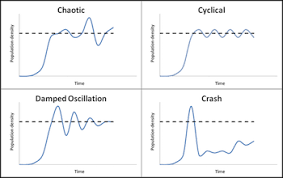 Carrying Capacity Of A Population Definition Explanation