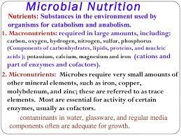 Proteins are considered the building blocks of life. Microbial Nutrition