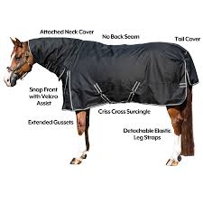 stormshield blizzard combo turnout sheet in euro fit at