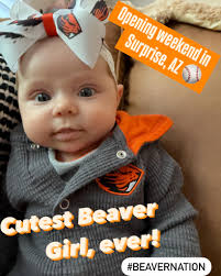 Beavers Behind Enemy Lines