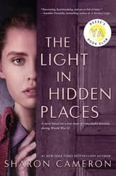 Hidden Faces in Prophetic Places by Ginger Ziegler
