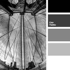 Understand the science behind colours and learn how designers can leverage black and white. Black And White Color Range Color Palette Ideas