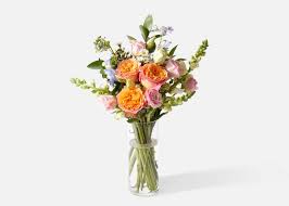Check spelling or type a new query. The Juliet Send Flower Bouquets Best Flower Delivery Flower Delivery Amazing Flowers