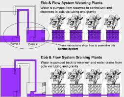 Build An Ebb Flow Type Hydroponics System