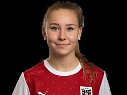 Robert Lexer (Liesing)