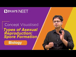 Plants such as ferns and mosses are called nonflowering plants and produce spores instead of seeds. How Do Non Flowering Plants Reproduce Byju S Neet