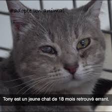 Check spelling or type a new query. Patounes Et Truffes Beitrage Facebook