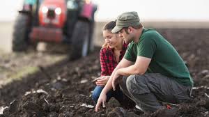 Veniturile din arendarea bunurilor agricole obtinute de castigul salarial mediu brut utilizat la fundamentarea bugetului asigurarilor sociale de stat in anul 2017 este de 3.131 lei. PreÈurile Medii Pentru Produsele Agricole Care IntrÄ In Calculul Impozitului Pe ArendÄ