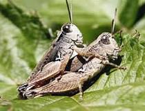 Image result