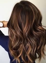 It saves your naturally dark brown hair the damage that. 10 Gorgeous Hair Color Trends For 2021
