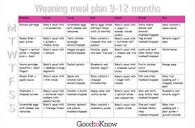 Baby Food Meal Planner 9 12 Months