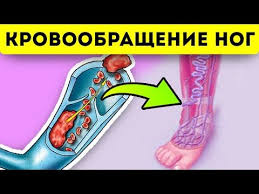 как избавиться от запаха на ногах в домашних условиях Vot Kak Normalizovat Krovoobrashenie V Nogah Youtube V 2020 G Varikoz Domashnee Lechenie Zdorove
