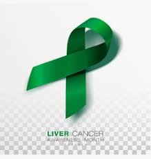 Cancer is a deadly disease and there are more than 100 types of cancer. Liver Cancer Awareness Ribbon Vector Images Over 290
