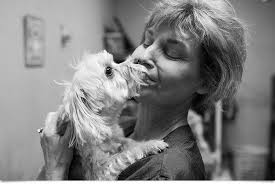 Mission Veterinary Emergency & Specialty, 5914 Johnson Dr, Mission, KS  66202, US