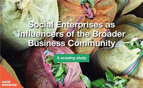 Procurement from social enterprises provides significant opportunities for. Dutch Social Enterprises Have A Strong Influence On Building A New Economy