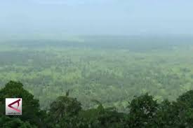 We did not find results for: Wisata Rawa Dano Serang Rawa Dano Banten Youtube Rawa Danau Merupakan Salah Satu Cagar Alam Yang Dilindungi Pemerintah
