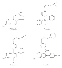 Image result for Selective Estrogen Receptor Modulator