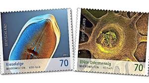 In der gedruckten ausgabe der deutschen briefmarken zeitung wurden unter anderem folgende bücher rezensiert. Mikrofotografien Aus Weissenstein Auf Briefmarken Kieselalge Und Odermennig Mit Zacken Landkreis Goppingen Stuttgarter Zeitung