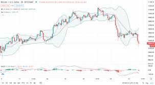 During the last couple of weeks of january and february, the bitcoins are swinging between $35k to $40k. Bitcoin Price Prediction Bearish Overtones Cloud Btc Usd Pair As 9 700 Support Beckons Cryptopolitan