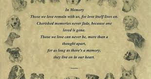 Pet Memorial In Memory Poem Dogs Ebay Pet Memorials Dog Poems Pet Sympathy