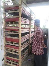 Budidaya ini menggunakan sistem scrs (semi closed resirculating system). Agromedia Peluang Emas Budi Daya Cacing Sutra Di Lahan Terbatas